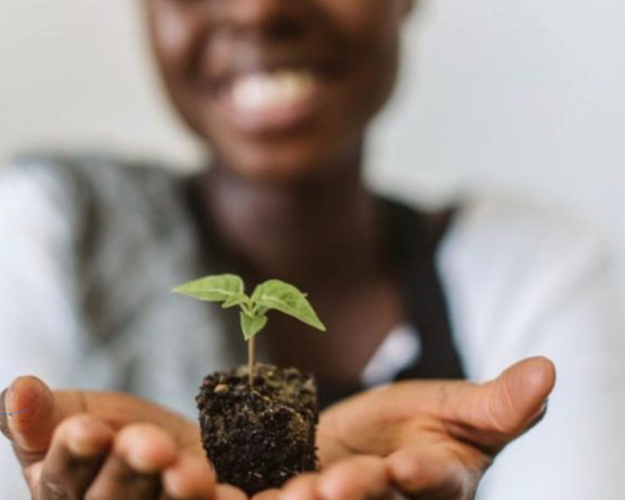 Planted with Purpose