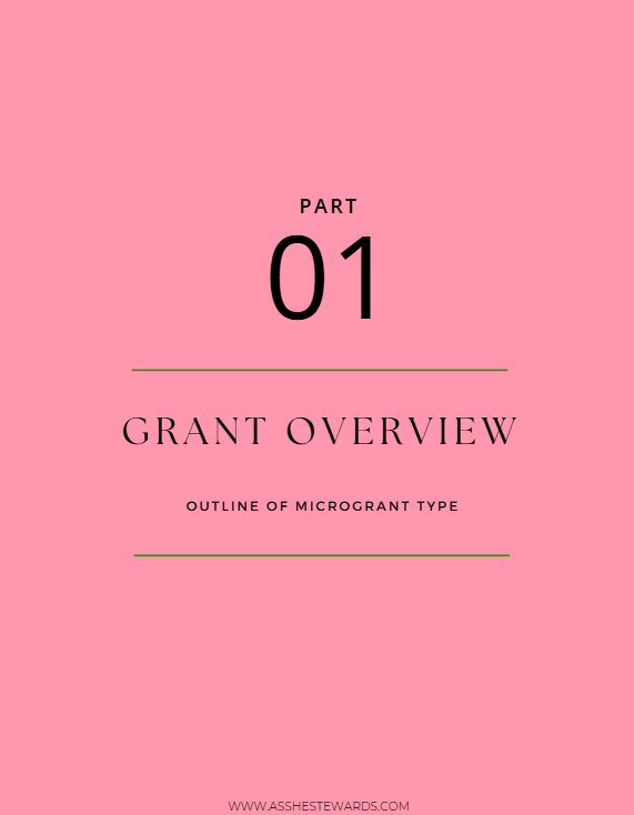 Microgrant Application Fee
