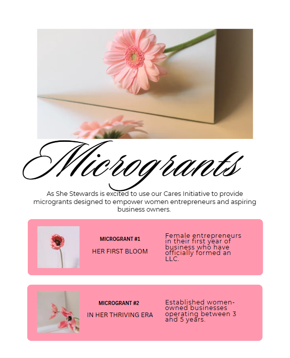 Microgrant Application Fee